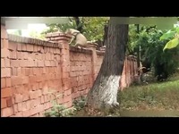 啦啦爱Ann Winsborn[英文版MTV]-堕落的神。_