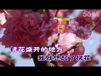 蒋大为 我爱桃花我爱家2-五岳山翁 免费观看_1