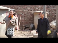 精华内容 国泰光伏发电采访视频-"阳谷电视台