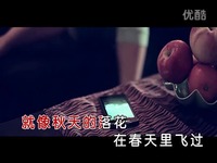 我是一首流行歌(陈瑞 KTV版)-视频 合集_1717