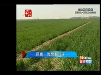 【巨鹿网】我想看孩子-巨鹿网 高清观看_1717