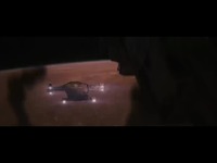 [刘慈欣][科幻]三体电影版《三体·起源》预告片