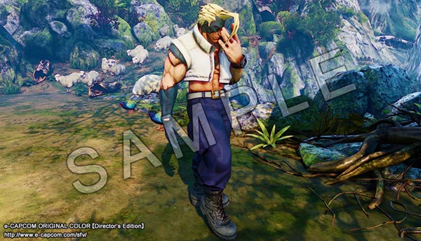《街霸5》e-capcom限定套装 全角色限定颜色